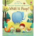 Very First Questions and Answers What Is Poop? - Board Book