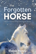 The Forgotten Horse - Book 1 in the Connemara Horse Adventure Series for Kids. The perfect gift for children age 8-12. - Paperback