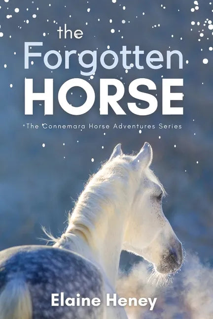 The Forgotten Horse - Book 1 in the Connemara Horse Adventure Series for Kids. The perfect gift for children age 8-12. - Paperback