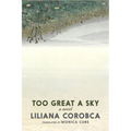 Too Great a Sky - Paperback