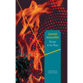 Passage to the Plaza - Hardcover
