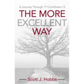 The More Excellent Way: A journey through 1st Corinthians 13 - Paperback