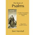 The Book of Psalms: A Psalter for Seekers in Extraordinary Times - Paperback