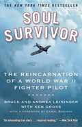 Soul Survivor: The Reincarnation of a World War II Fighter Pilot - Paperback