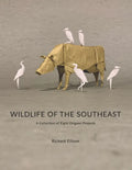 Wildlife of the Southeast: A Collection of Eight Origami Projects - Paperback