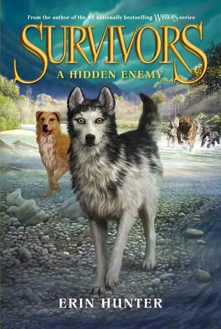 A Hidden Enemy - Paperback