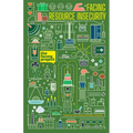 Facing Resource Insecurity - Paperback