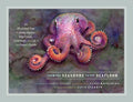From the Seashore to the Seafloor: An Illustrated Tour of Sandy Beaches, Kelp Forests, Coral Reefs, and Life in the Ocean's Depths - Hardcover
