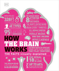 How the Brain Works: The Facts Visually Explained - Hardcover