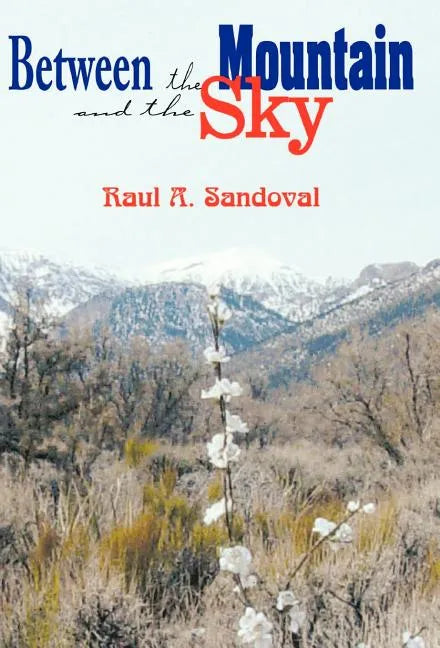 Between the Mountain and the Sky - Hardcover