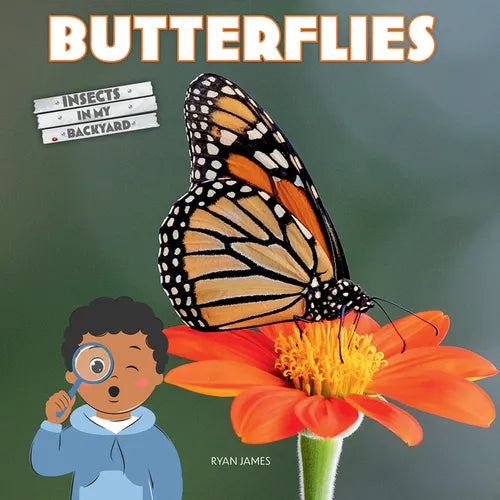 Butterflies - Paperback