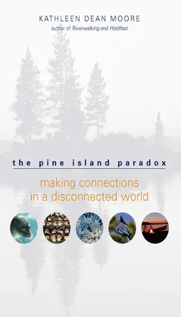 The Pine Island Paradox: Making Connections in a Disconnected World - Paperback