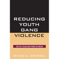 Reducing Youth Gang Violence: The Little Village Gang Project in Chicago - Paperback