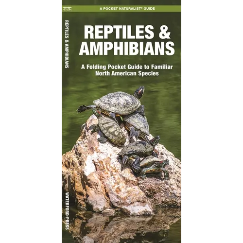 Reptiles & Amphibians: An Introduction to Familiar North American Species