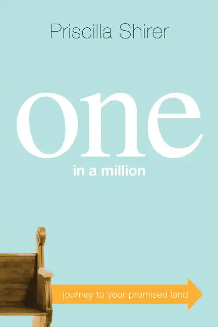 One in a Million: Journey to Your Promised Land - Paperback