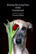 Kissing the Long Face of the Greyhound - Paperback