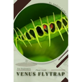 Venus Flytrap: Plant Guide - Paperback
