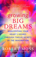 Growing Big Dreams: Manifesting Your Heart's Desires Through Twelve Secrets of the Imagination - Paperback