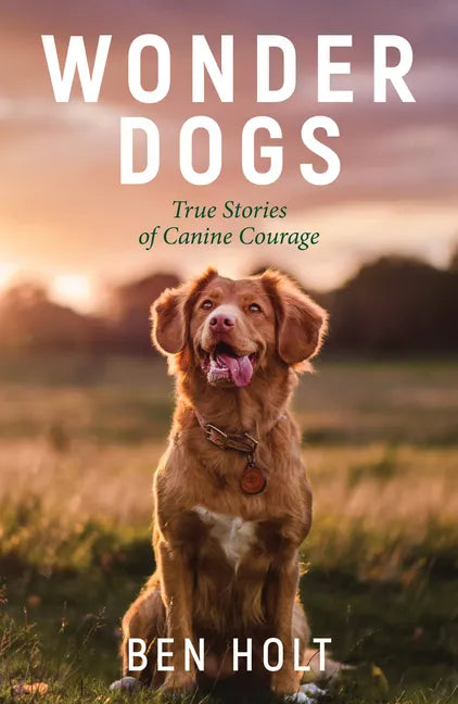 Wonder Dogs: True Stories of Canine Courage - Paperback