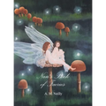 Nan's Book of Faeries - Hardcover