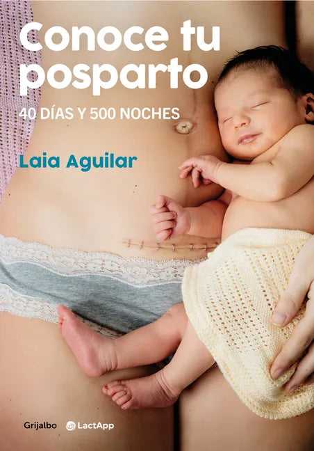 Conoce Tu Posparto: 40 Días Y 500 Noches / Understanding Your Postpartum Stage: 40 Days and 500 Nights - Paperback