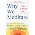 Why We Meditate: The Science and Practice of Clarity and Compassion - Hardcover