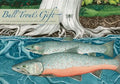 Bull Trout's Gift: A Salish Story about the Value of Reciprocity - Hardcover