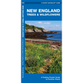 New England Trees & Wildflowers: A Folding Pocket Guide to Familiar Plants - Paperback