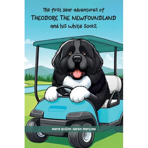 The First Year Adventures Of Theodore The Newfoundland And His White Socks - Paperback