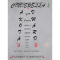 Cinderella's Pi: Auspicious Loving Equations - Hardcover