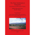 The Ta?o Settlement at Guayguata: Excavations in St Mary Parish, Jamaica - Paperback