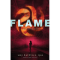Flame: Book Three of the Sky Chasers - Paperback