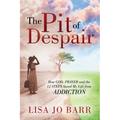 The Pit of Despair: How God, Prayer and the 12 Steps Saved My Life from Addiction - Paperback