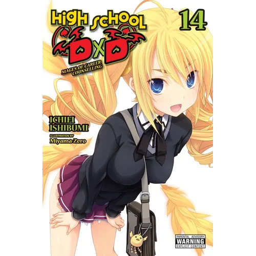 High School DXD, Vol. 14 (Light Novel): Volume 14 - Paperback