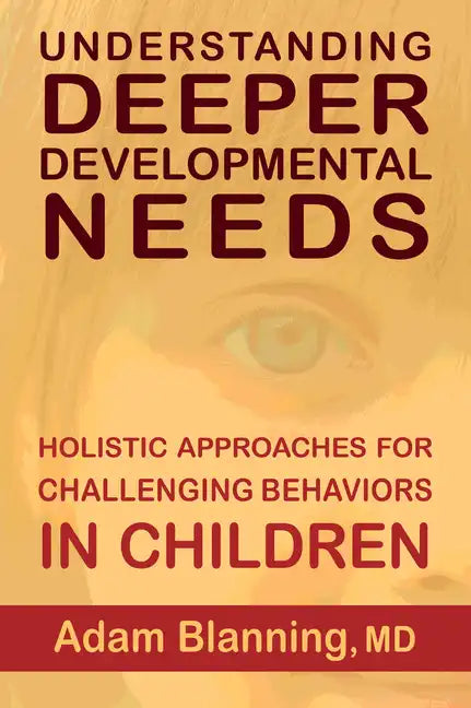 Understanding Deeper Developmental Needs: Holistic Approaches for Challenging Behaviors in Children - Paperback