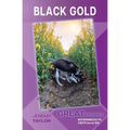 Black Gold: Great Stories: Intermediate - Paperback