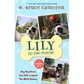 Lily to the Rescue Bind-Up Books 4-6: Dog Dog Goose, Lost Little Leopard, and the Misfit Donkey - Paperback