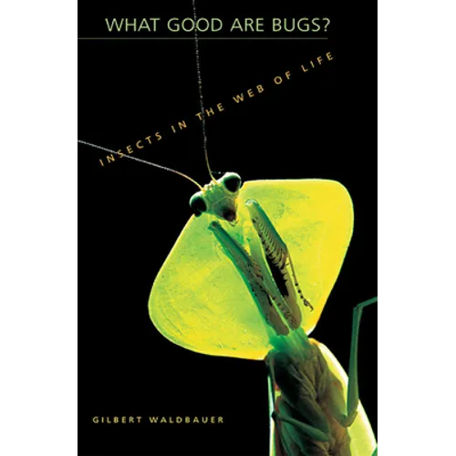What Good Are Bugs?: Insects in the Web of Life - Paperback