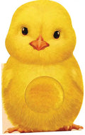Furry Chick - Board Book