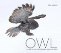 Owl: A Year in the Lives of North American Owls - Hardcover