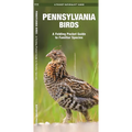 Pennsylvania Birds: A Folding Pocket Guide to Familiar Species - Paperback