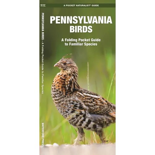 Pennsylvania Birds: A Folding Pocket Guide to Familiar Species - Paperback