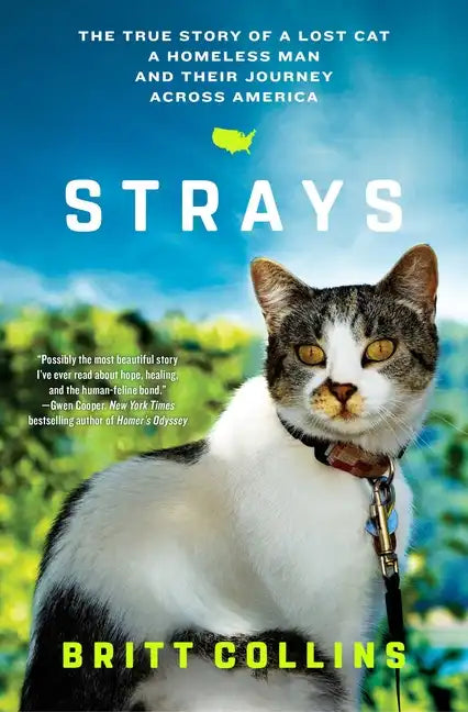 Strays: The True Story of a Lost Cat, a Homeless Man, and Their Journey Across America - Paperback