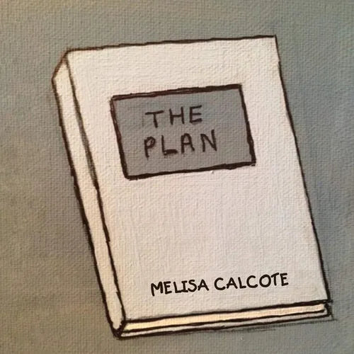 The Plan - Paperback