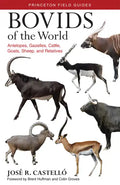Bovids of the World: Antelopes, Gazelles, Cattle, Goats, Sheep, and Relatives - Paperback
