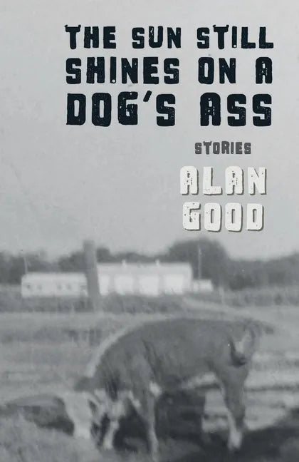 The Sun Still Shines on a Dog's Ass - Paperback