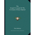 The Gospel Covenant Or The Covenant of Grace Opened - Paperback