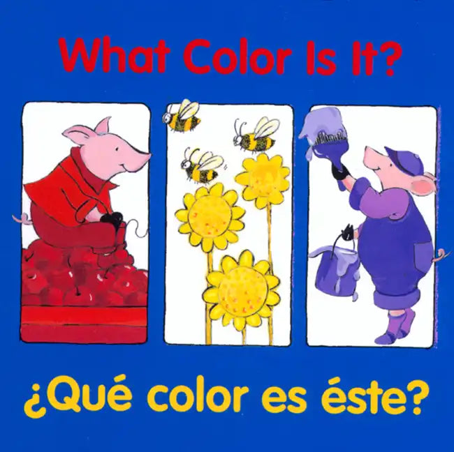What Color Is It? - Board Book