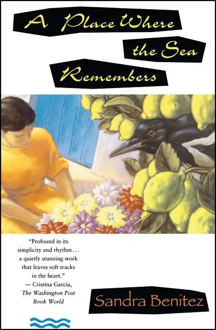 Place Where the Sea Remembers - Paperback
