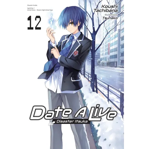 Date a Live, Vol. 12 (Light Novel) - Paperback